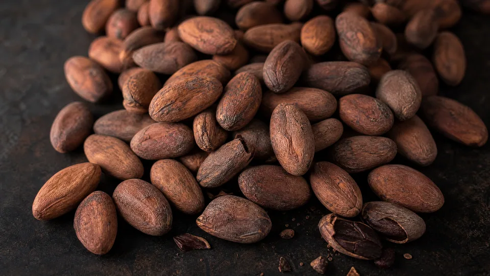 Cacao beans in close-up